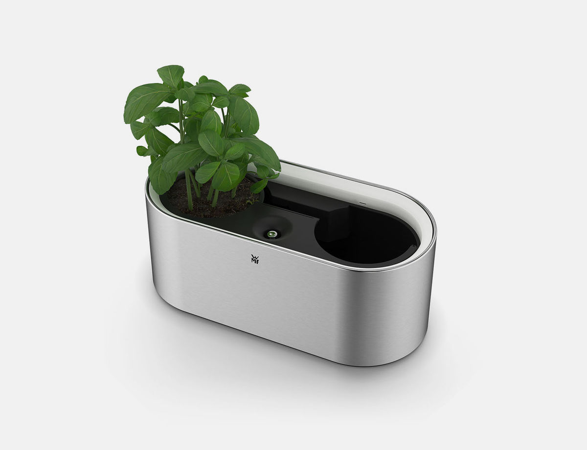 WMF-AMBIENT-Kraeuter-at-home